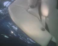 Z8BootCover.jpg